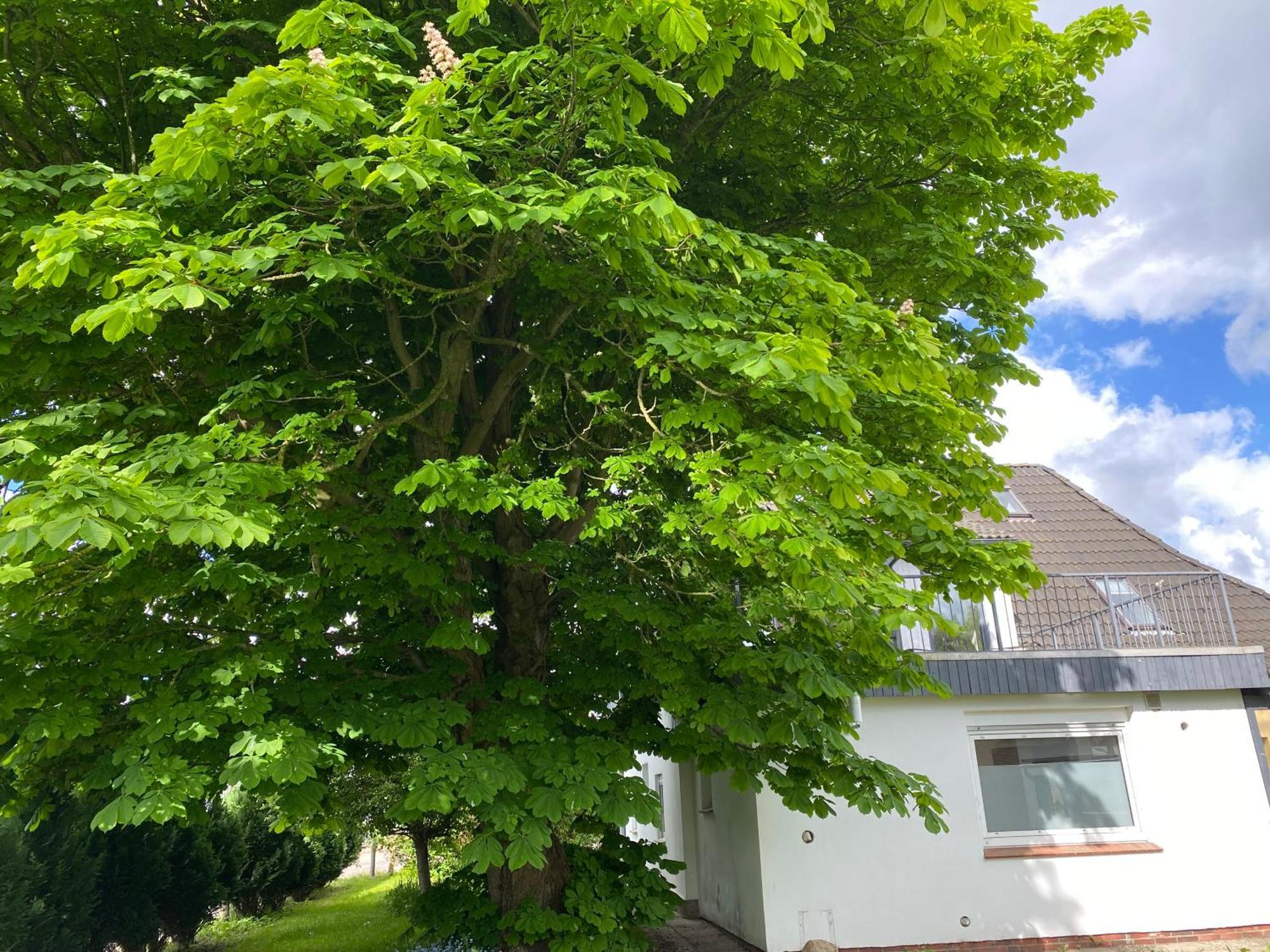 Meerzeit Schulp  Exterior foto